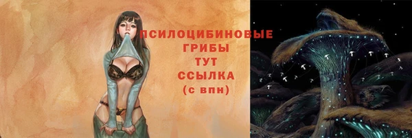 таблы Медногорск
