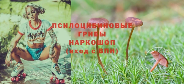 метамфетамин Медвежьегорск