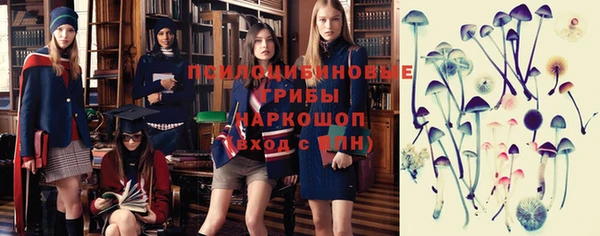 амф Мегион