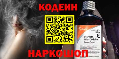 индика Кулебаки