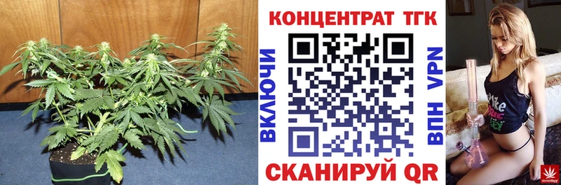 Дистиллят ТГК THC oil  Екатеринбург 