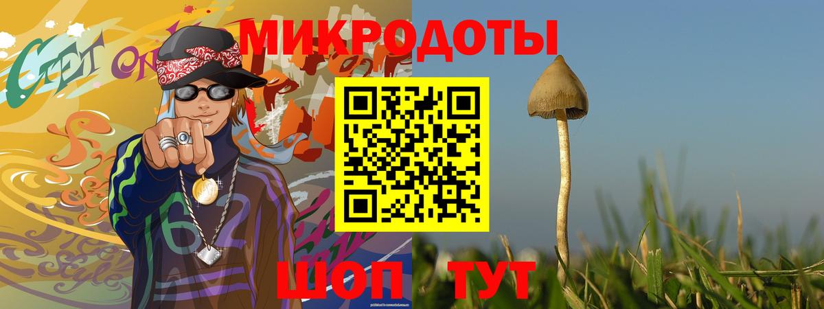 Екатеринбург  купить   Вход с VPN  Галлюциногенные грибы мицелий  Псилоцибиновые грибы Cubensis 